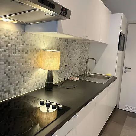 Voskenslaan Wsa Apartment Ghent